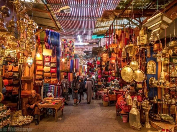 Marrakech Guided Tour to the Medina & Iconic Landmarks